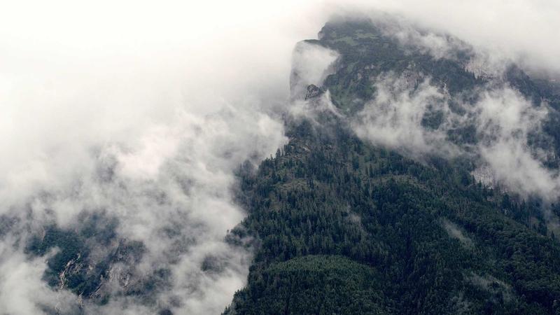 2025 Review of Top 5 Life Insurance Companies with Highest Payouts - illustration 3