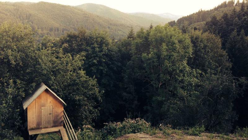 2026 Health Insurance Review: Best Policies for Chronic Illness Coverage - illustration 1