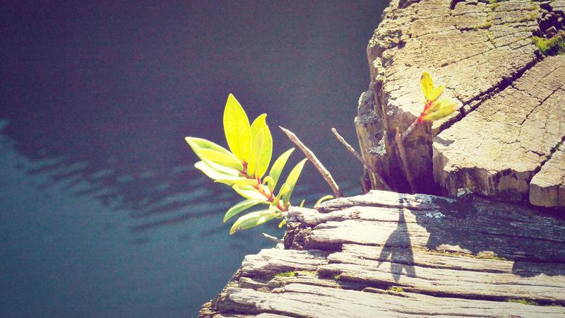 2026 Homeowners Insurance Review: Top 5 Policies for Maximum Coverage - illustration 2