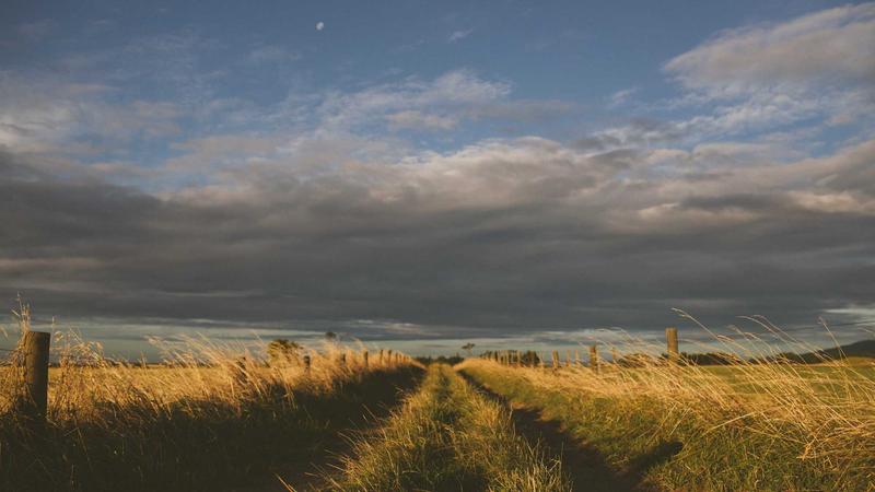 2026 Homeowners Insurance Review: Top 5 Policies for Maximum Coverage - illustration 3