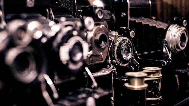 About Terry Evans - illustration 3