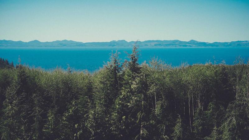 Affordable Pet Insurance for Senior Pets in 2025: What to Look For - illustration 3