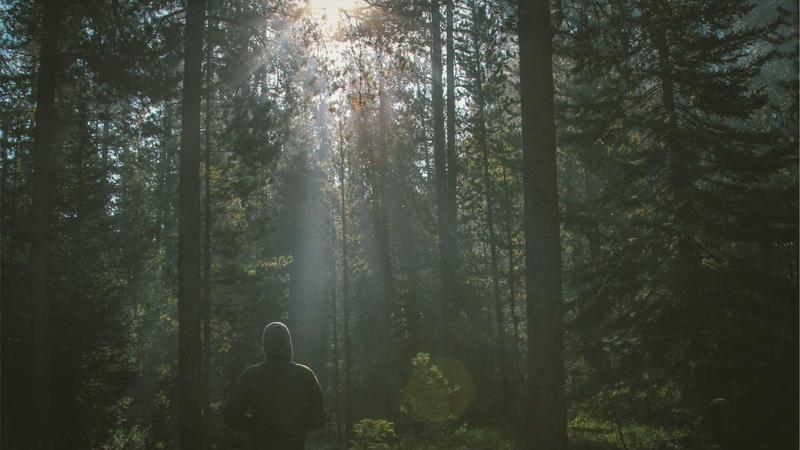 Best Auto Insurance for Young Drivers in 2026: Top 5 Affordable Plans - illustration 2