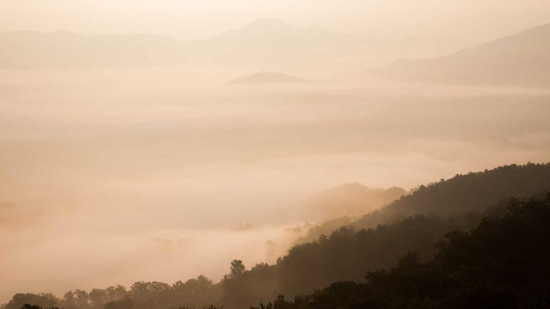 Best Auto Insurance for Young Drivers in 2026: Top 5 Affordable Plans - illustration 3