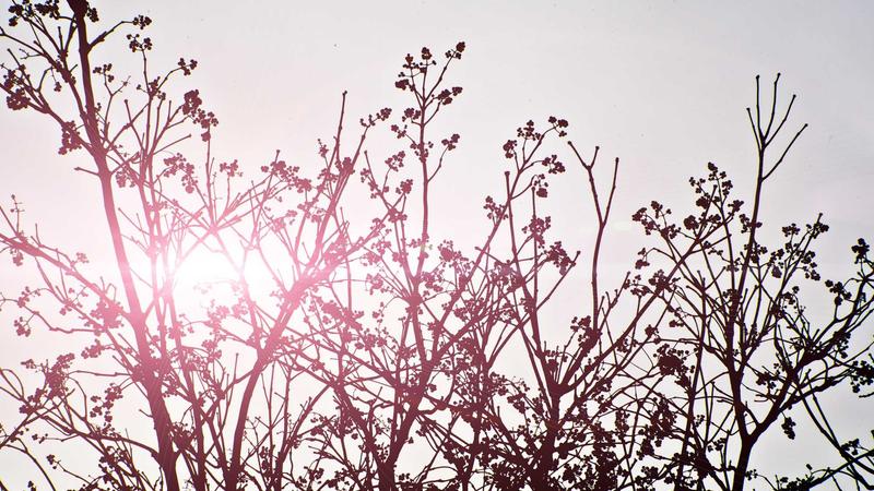 Best Business Insurance for Small Businesses in 2025: Top 7 Picks - illustration 2