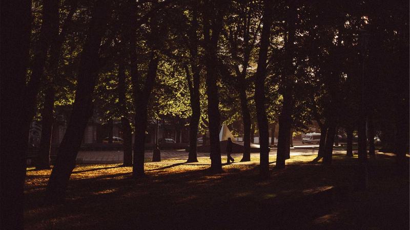 Best Health Insurance Plans for Seniors in 2025: Top Picks Reviewed - illustration 2