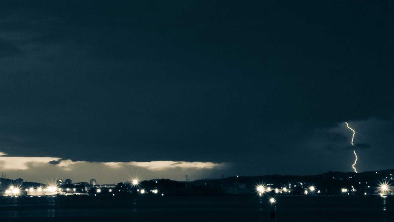 Best Pet Insurance for Dogs in 2025: Affordable Plans Compared - illustration 1