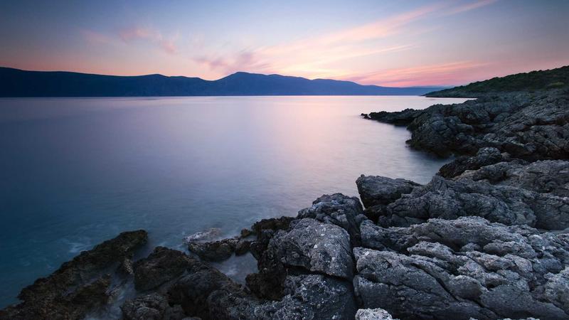 Best Pet Insurance for Dogs in 2025: Affordable Plans Compared - illustration 3