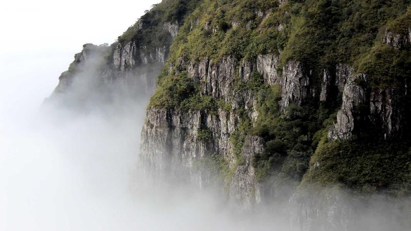 Business Insurance - illustration 2