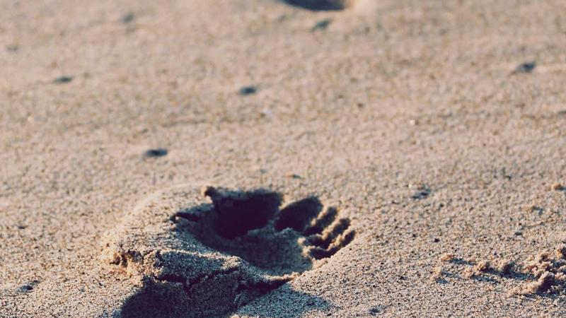 Comprehensive Guide to Cyber Liability Insurance for Small Businesses 2026 - illustration 3