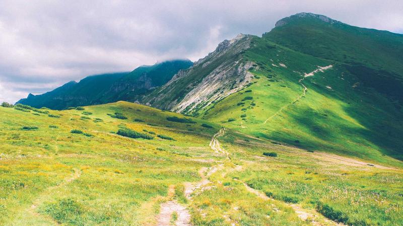 Health Insurance Guide for Freelancers in 2026: Coverage Tips & Savings - illustration 1