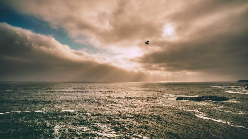 Health Insurance - illustration 3