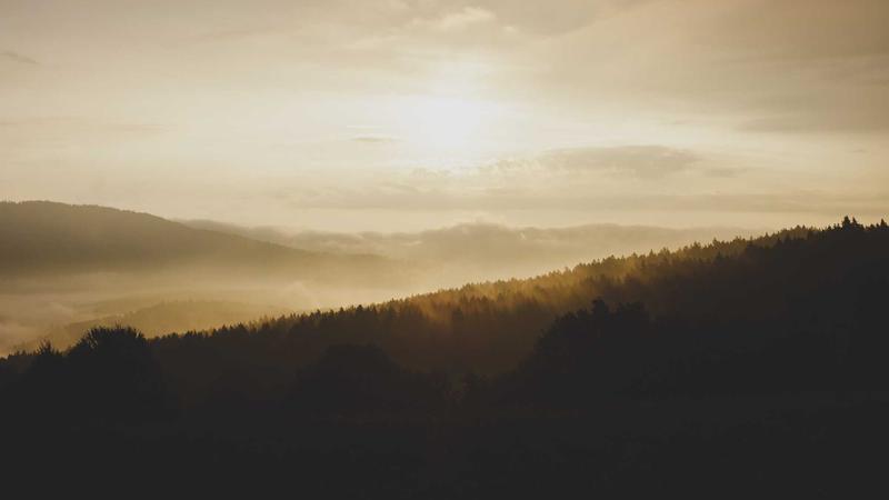 Health Insurance vs Medicare 2026: Which Coverage Suits You? - illustration 2