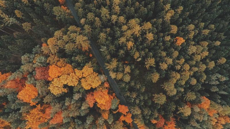 Home Insurance Deductibles Explained: Choosing the Right Amount in 2026 - illustration 1