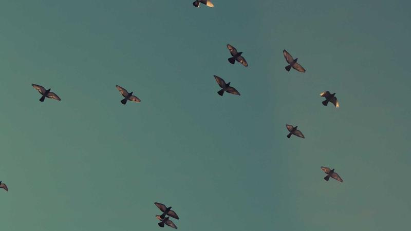 How to Buy Affordable Life Insurance with No Medical Exam in 2025 - illustration 2