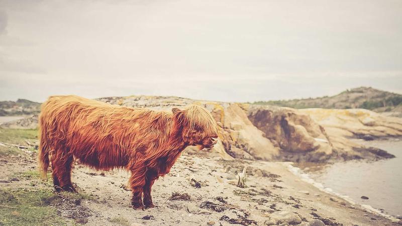 How to Choose Affordable Car Insurance for New Drivers in 2025 - illustration 3