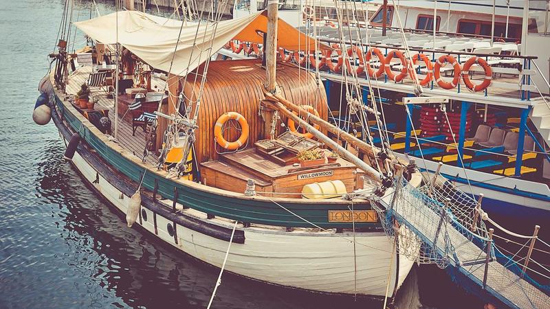 How to Choose Pet Insurance for Cats: A 2025 Buyer’s Guide - illustration 3