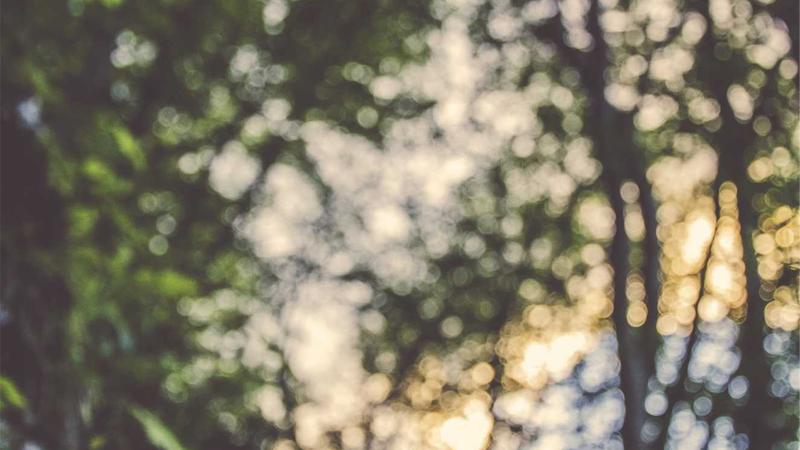 How to Lower Your Auto Insurance Premium in 2026: 7 Proven Tips - illustration 1