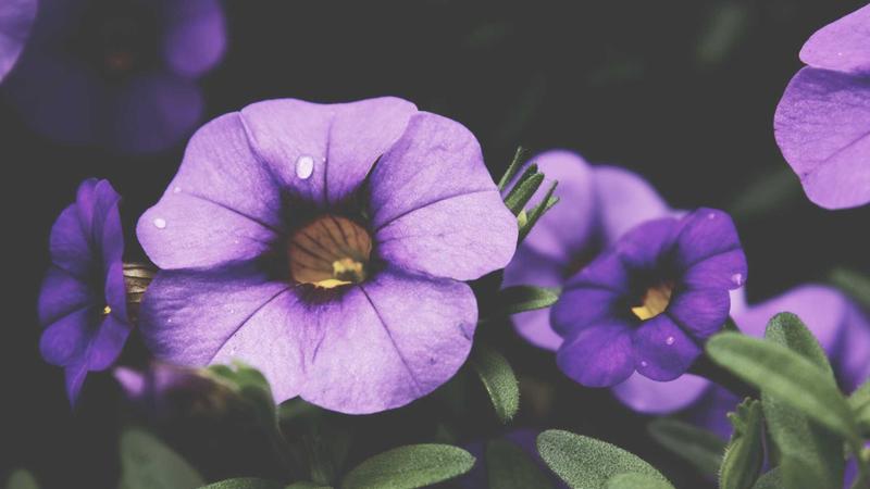 Life Insurance Guide for New Parents: Protect Your Family in 2025 - illustration 1