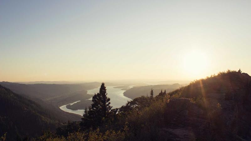 Life Insurance - illustration 3