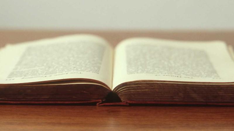 Pet Insurance - illustration 3