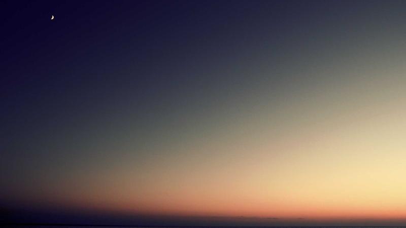 Pet Insurance vs Veterinary Savings Plans: Which Is Better in 2026? - illustration 1