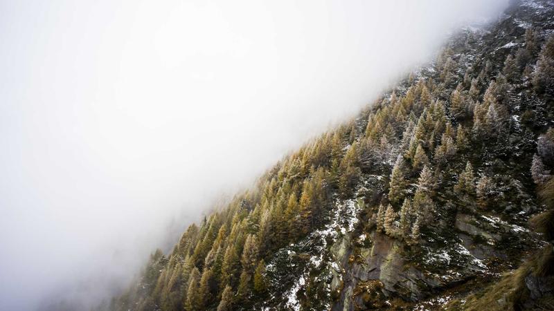 Privacy Policy - illustration 2