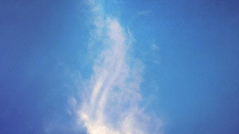 State Farm Auto Insurance Review 2026: Coverage, Rates & Customer Feedback - illustration 1