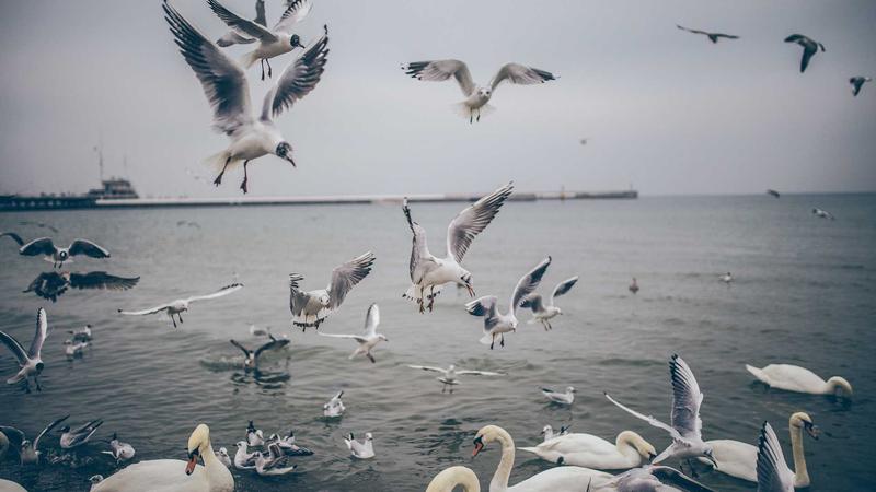 Term Life Insurance vs Whole Life Insurance: Which is Better in 2026? - illustration 1