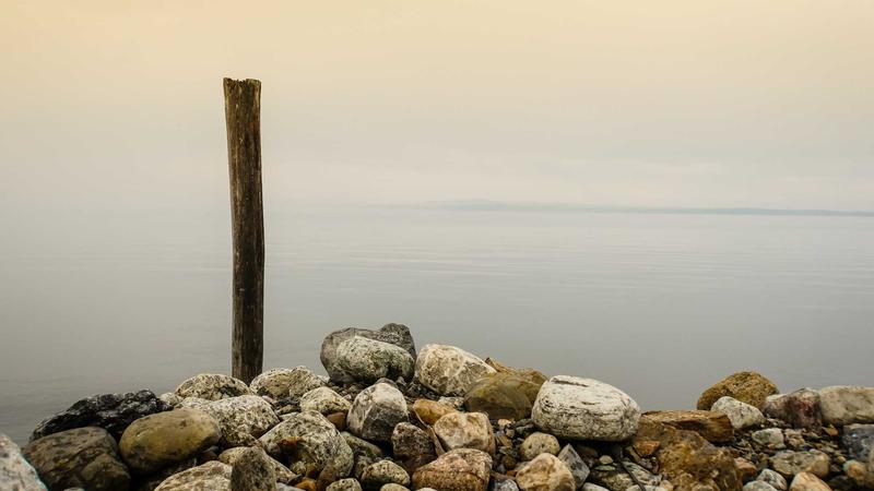 Term Life Insurance vs Whole Life Insurance: Which Is Better in 2026? - illustration 1