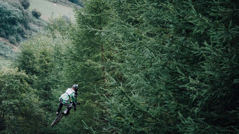 Top 7 Pet Insurance Plans with Wellness Coverage in 2026 - illustration 1