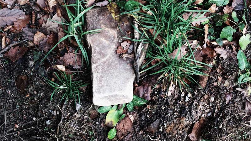 Top 7 Travel Insurance Tips for International Trips in 2025 - illustration 2