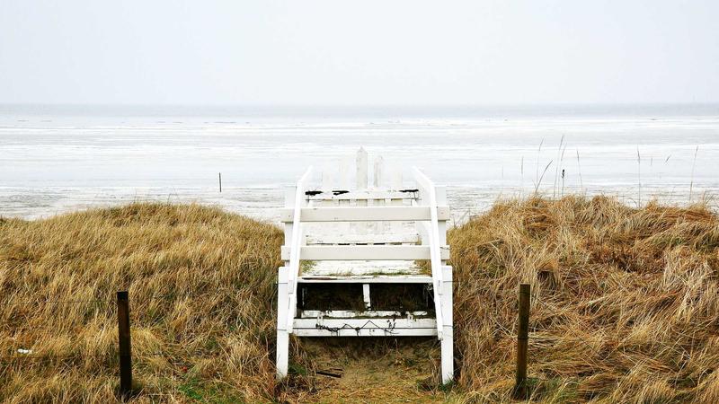 Trusted Pet Insurance Reviews 2025: Top 5 Providers Ranked - illustration 1