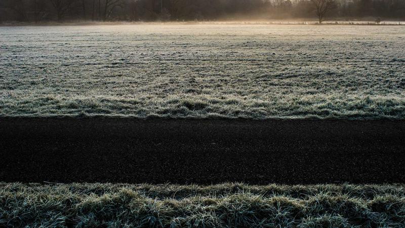 Trusted Pet Insurance Reviews 2025: Top 5 Providers Ranked - illustration 2