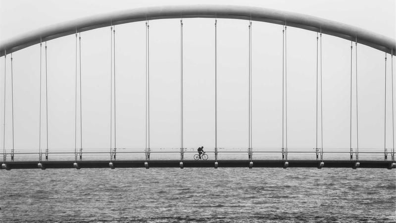 Trusted Pet Insurance Reviews 2025: Top 5 Providers Ranked - illustration 3