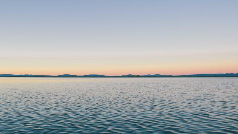 Ultimate Guide to Pet Insurance Deductibles and Claims in 2026 - illustration 2